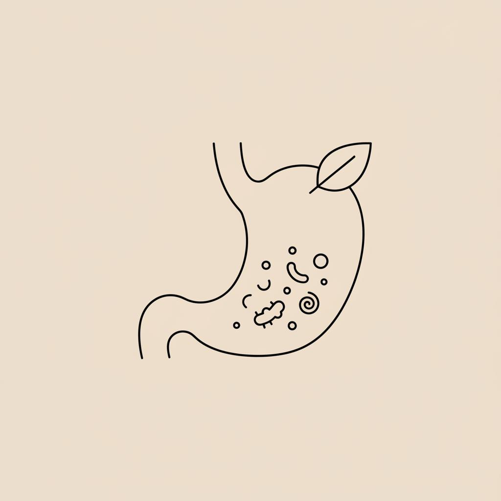 Minimalist line vector of a stomach silhouette with small abstract microbes and a leaf on beige background, symbolizing signs of an unhealthy gut.