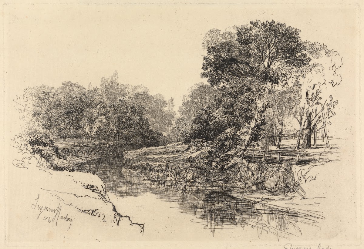 A River in Ireland 1864