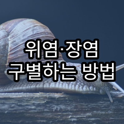 위염·장염 구별하는 방법