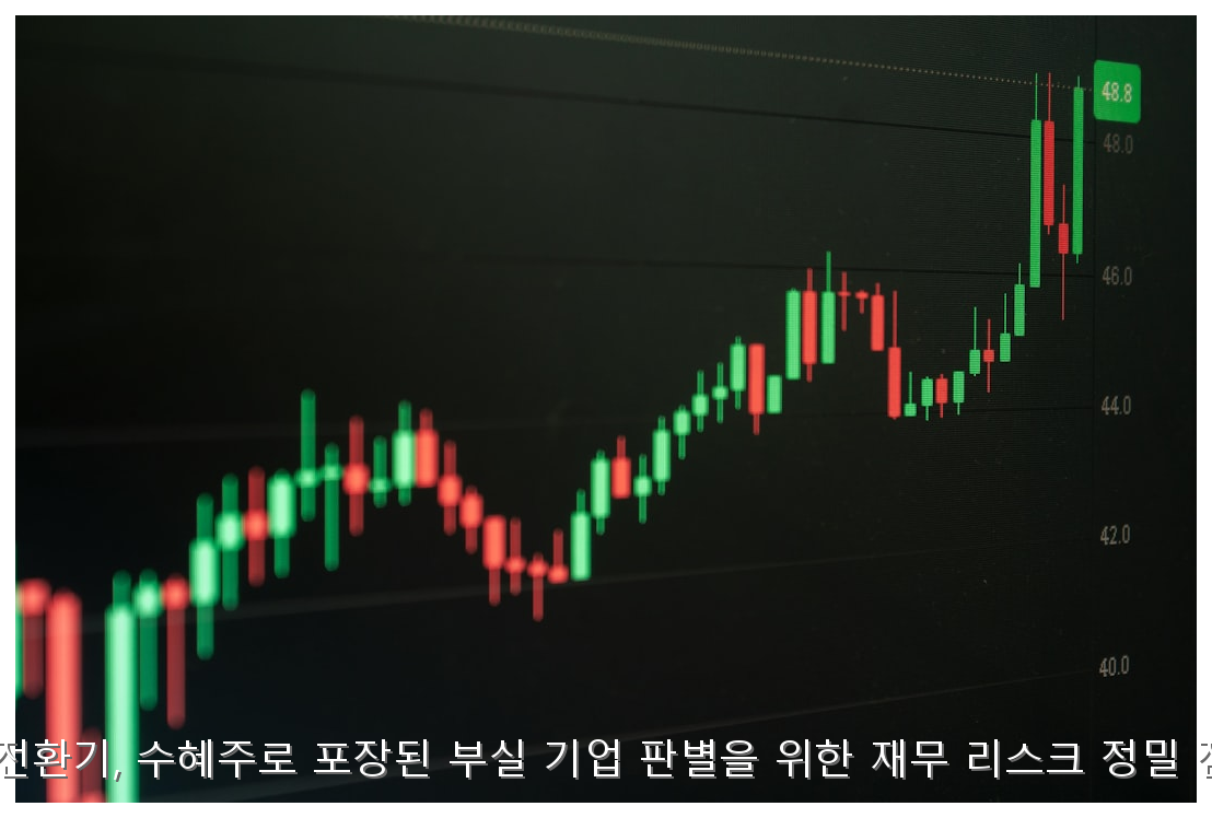 원화 강세 전환기, 수혜주로 포장된 부실 기업 판별을 위한 재무 리스크 정밀 점검 가이드 핵심 안내 및 분석 인포그래픽 (6)