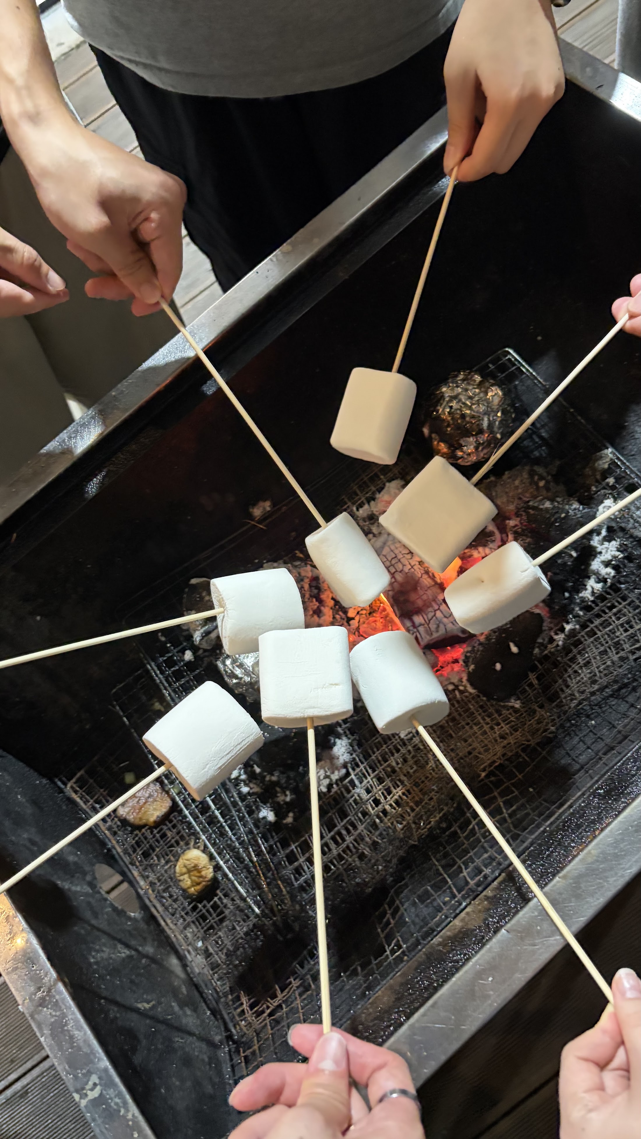 NEXGEM Summer workshop (barbeque)