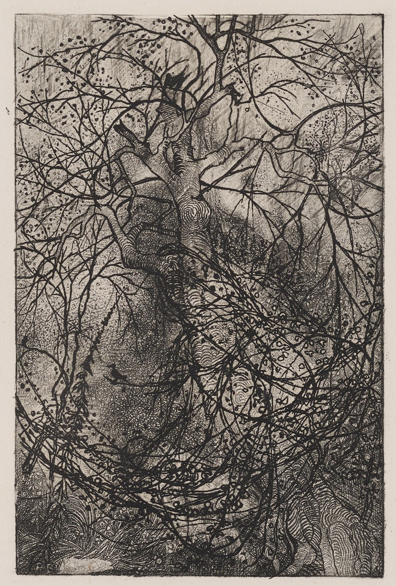 Branches c 1880