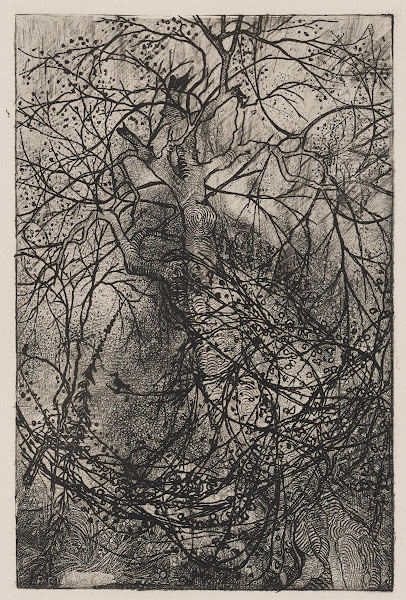 Rodolphe Bresdin