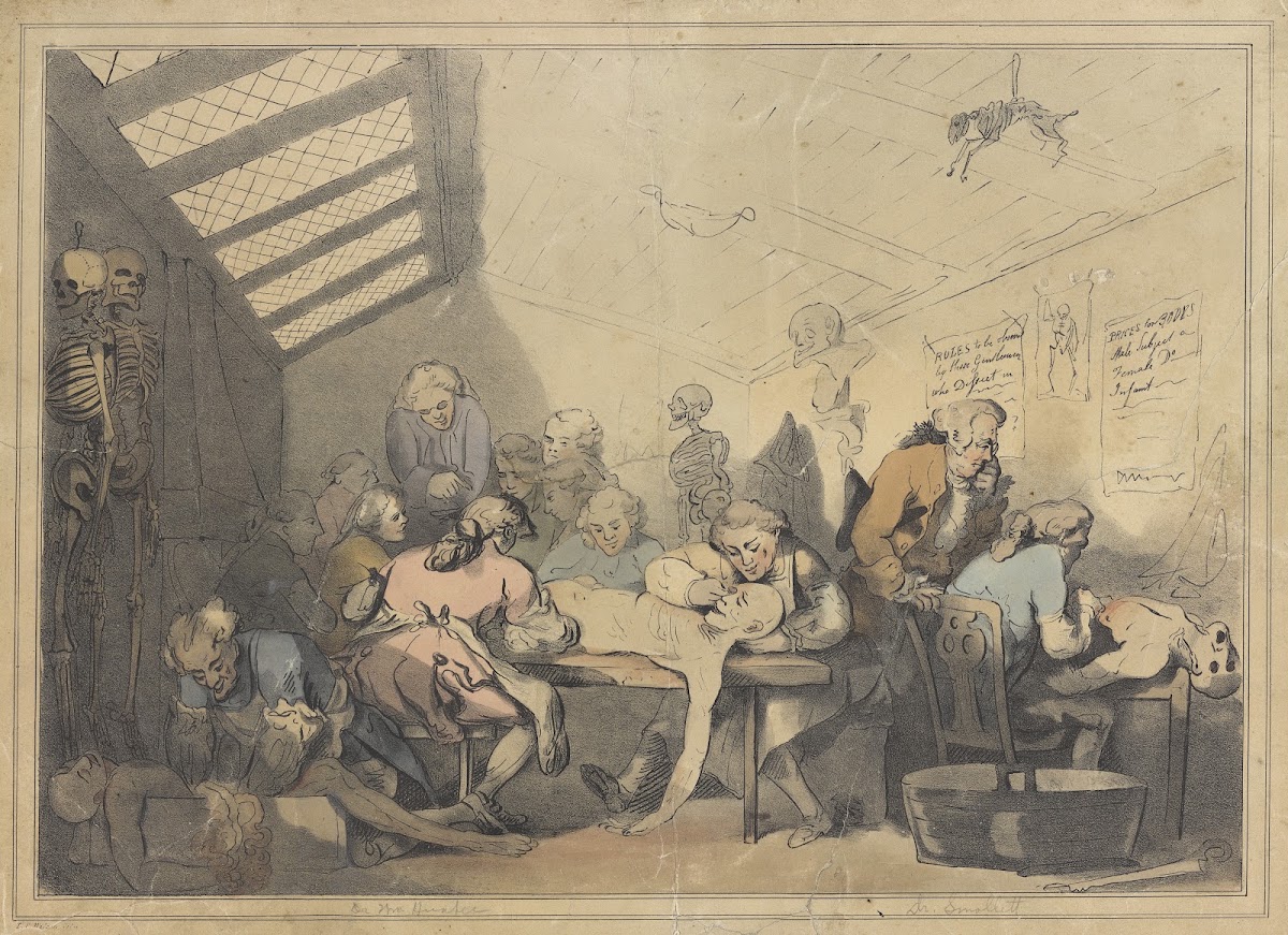 The dissecting room