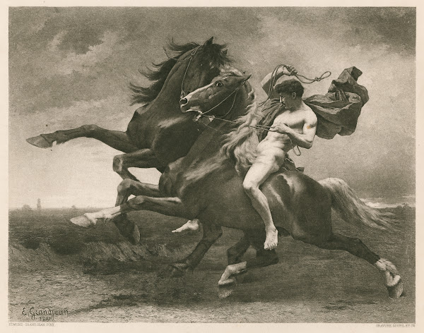 Automedon 1881   1885