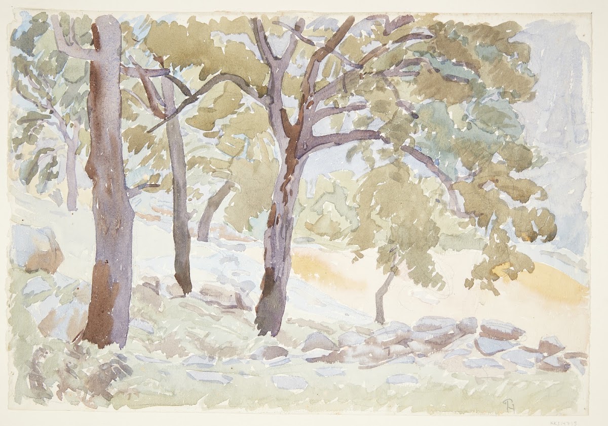 Udkanten af en skov 1920