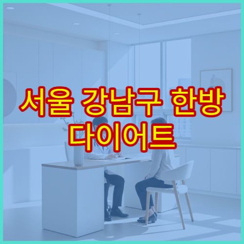 서울 강남구 한방 다이어트 비만 이상 증상 치료 프로그램 한의원