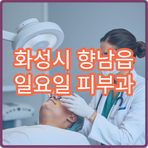 화성시 향남읍 일요일 피부과 병원 안내 주말 피부과 영업 리스트