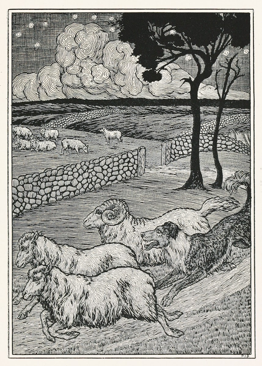 A hundred anecdotes of animals pl 020 1901