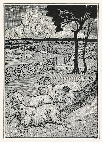 A hundred anecdotes of animals pl 020 1901