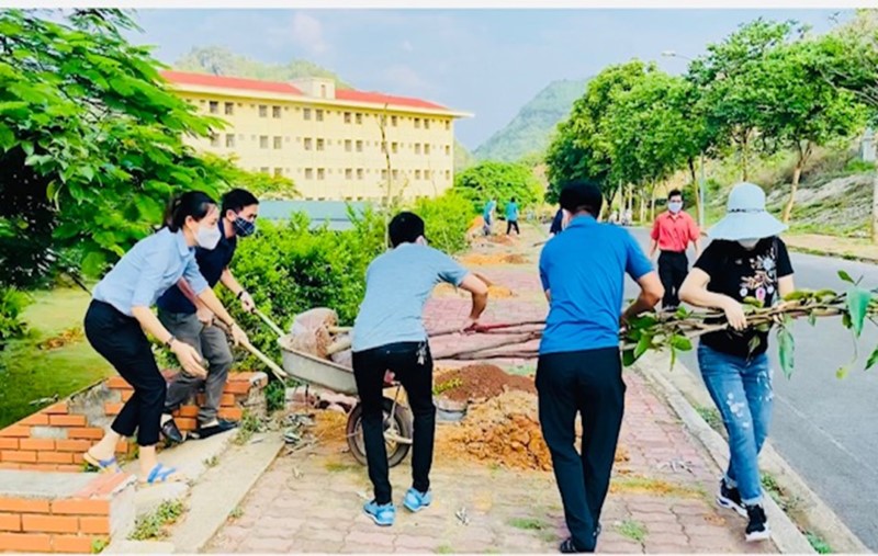 Trường Đại học Tây Bắc hưởng ứng chương trình trồng 1 tỷ cây xanh
