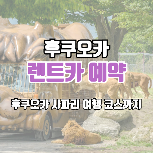섹션 2 이미지