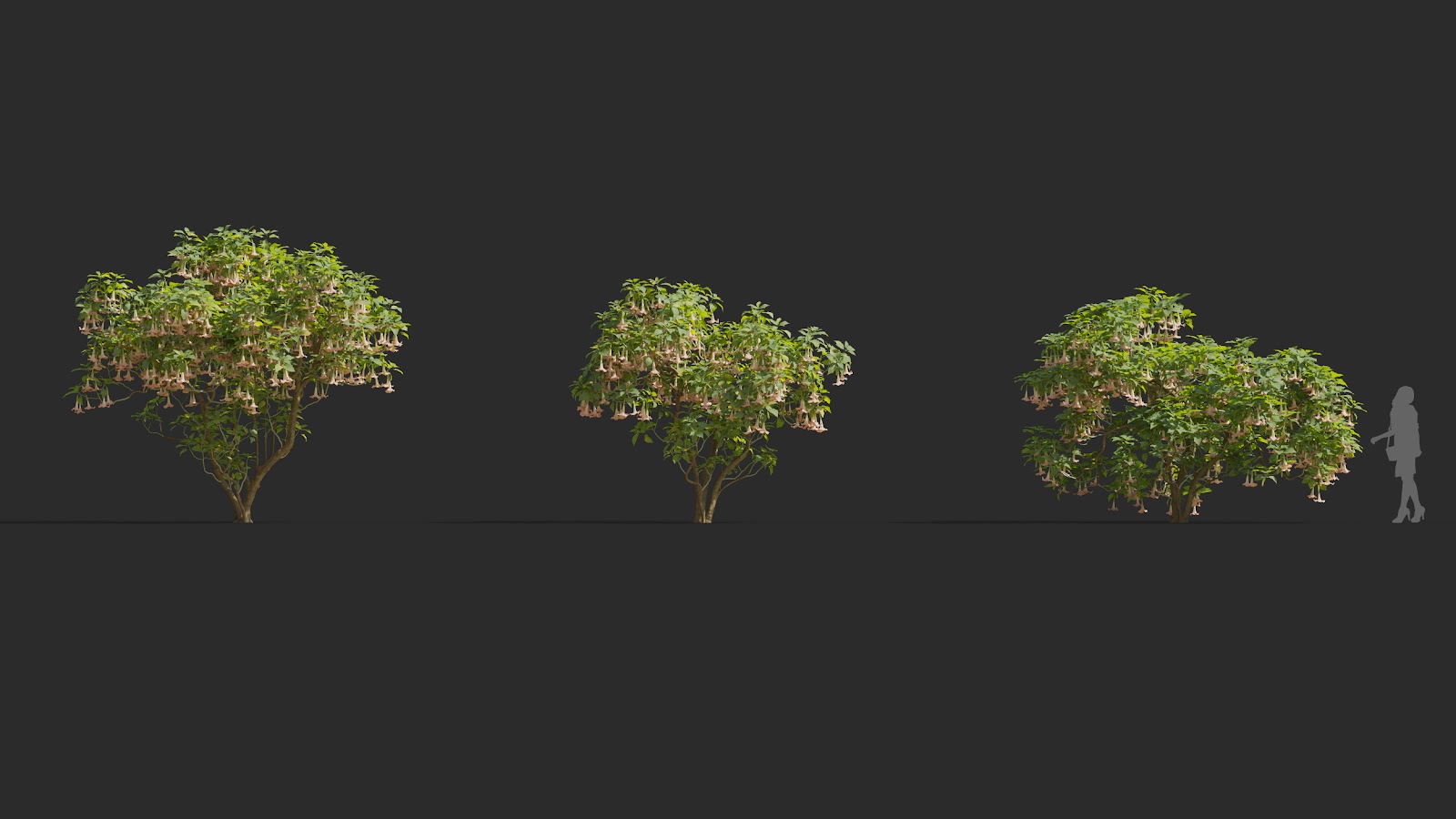 Maxtree - Plant Models Vol.72
