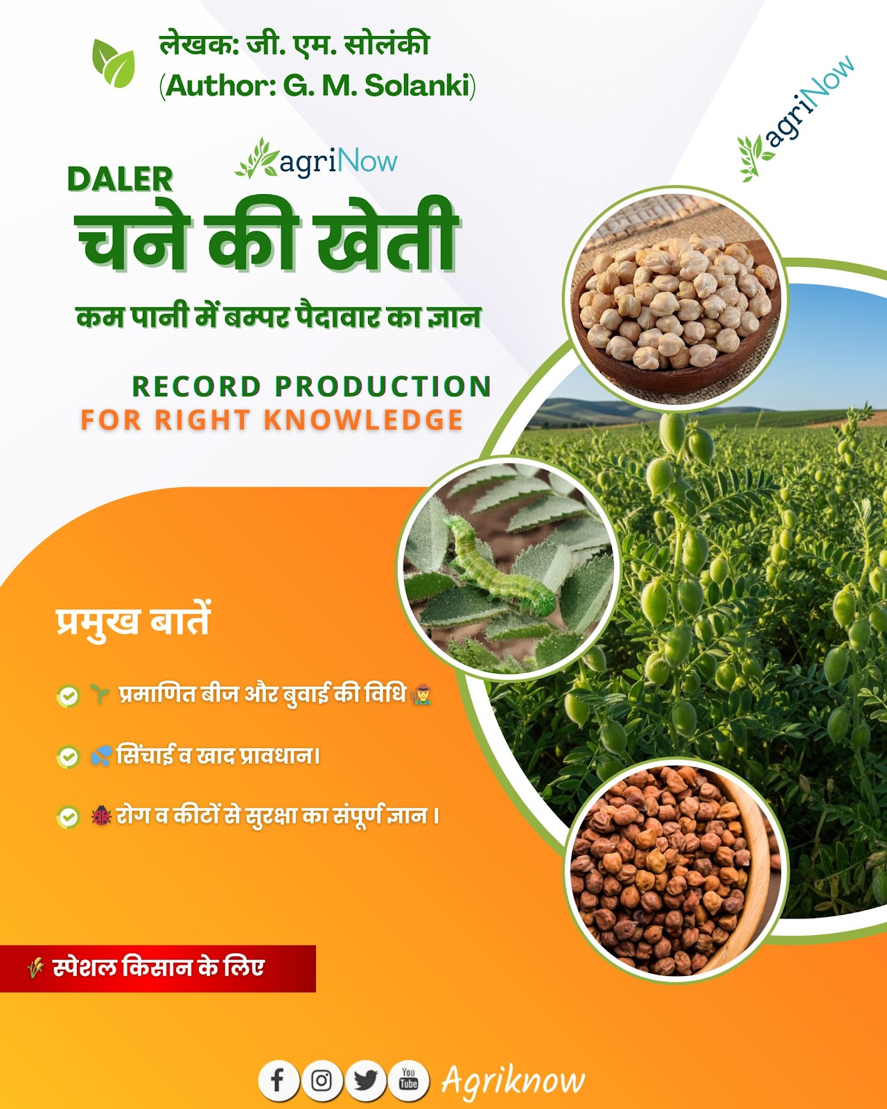 डॉलर चना