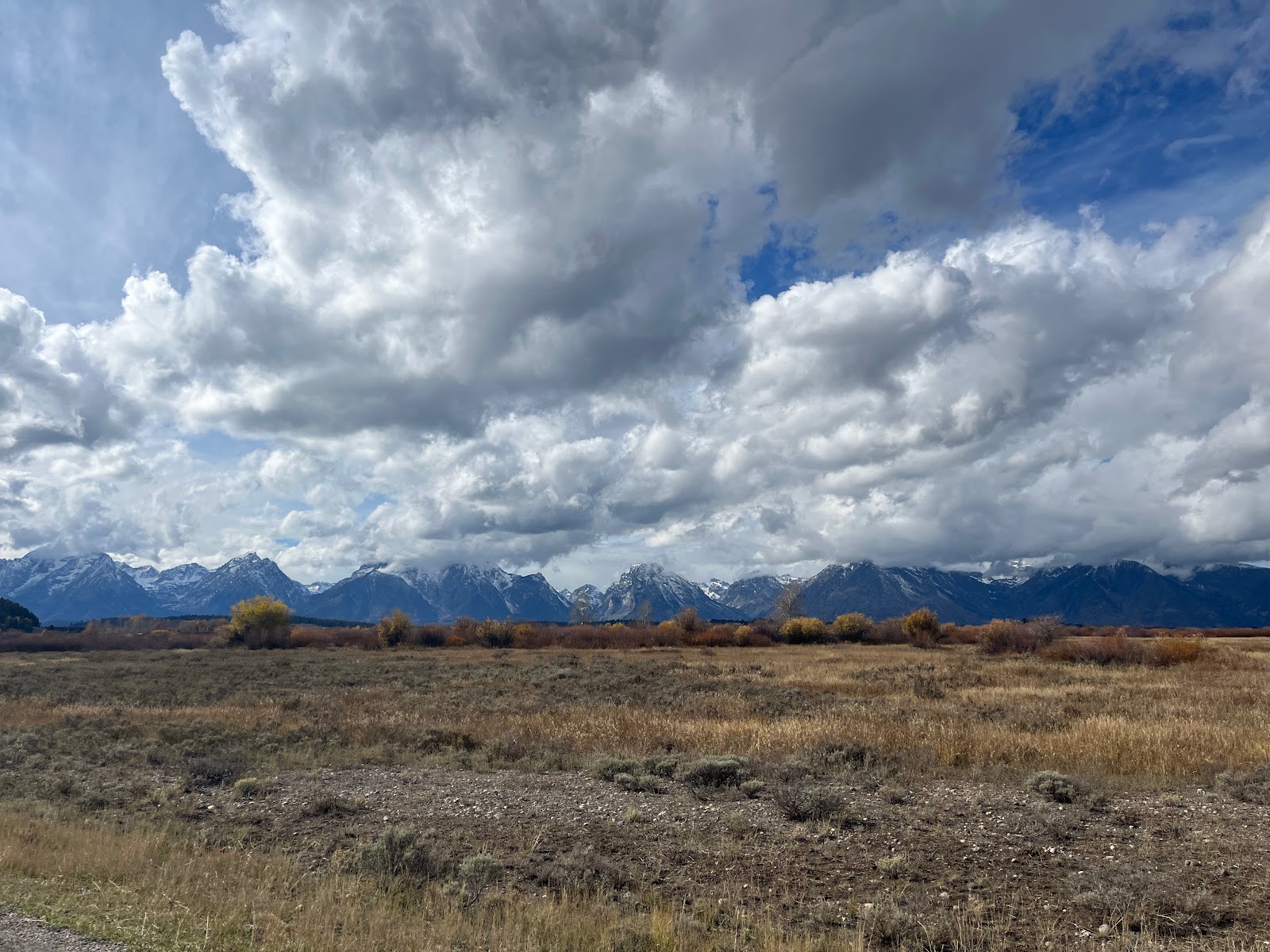National Parks landscape — Bonaventure Memorials team member