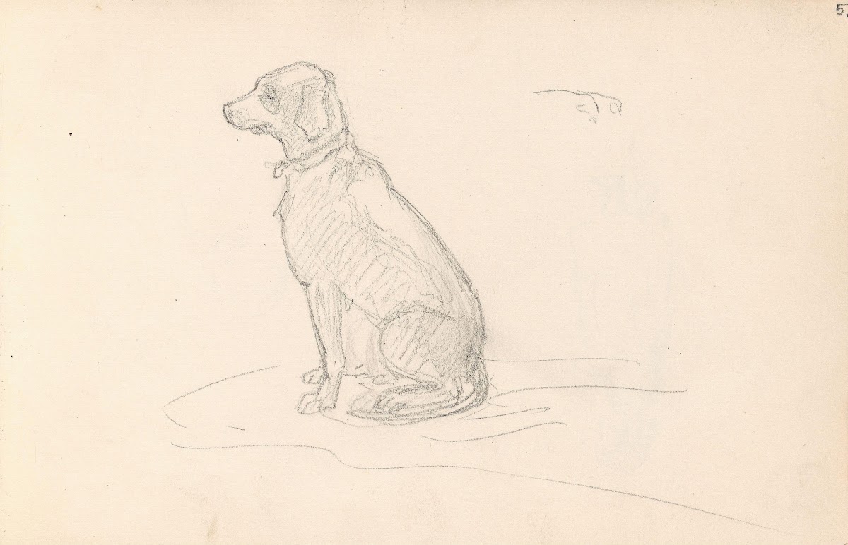 Dog 1859