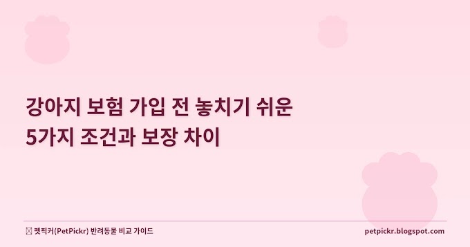 강아지 보험 가입 전 놓치기 쉬운 5가지 조건과 보장 차이