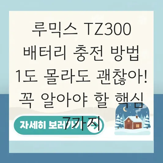 루믹스 TZ300 배터리 충전 방법