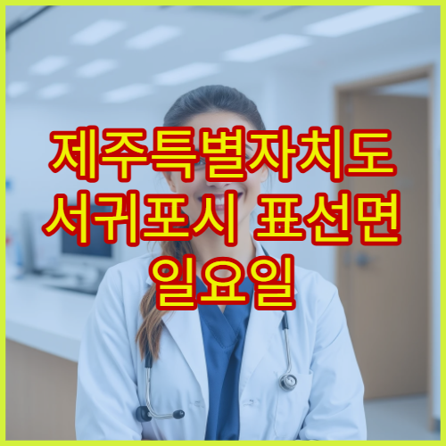 제주특별자치도 서귀포시 표선면 일요일 당직약국 문 여는 약국 정보