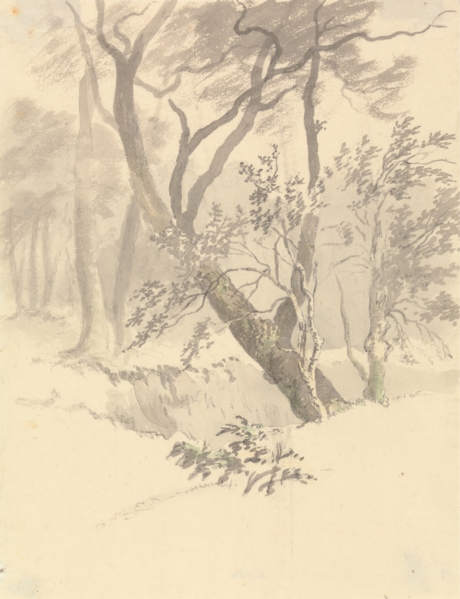The Wood