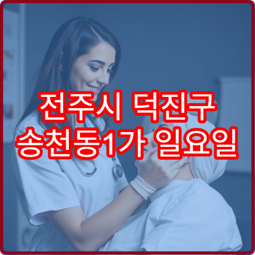 전주시 덕진구 송천동1가 일요일 진료 이비인후과 귀 통증 진료