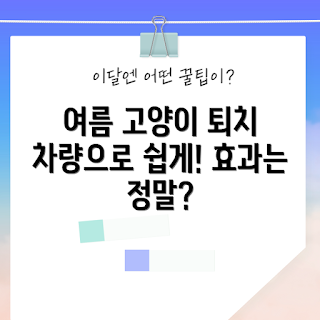 고양이퇴치기차량용, 여름철 고양이퇴치, 차량용 고양이 퇴치기, 고양이 퇴치 효과, 자동차 고양이 퇴치