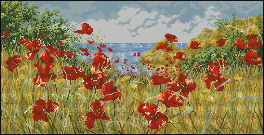 CMP PC47989 Clifftop Poppies