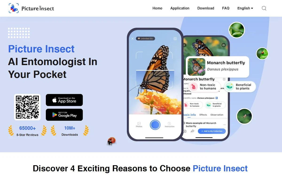 Captura de Picture Insect