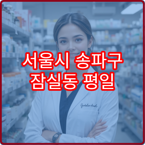 서울시 송파구 잠실동 평일 야간 약국 잠실역 주변 야간 운영 약국