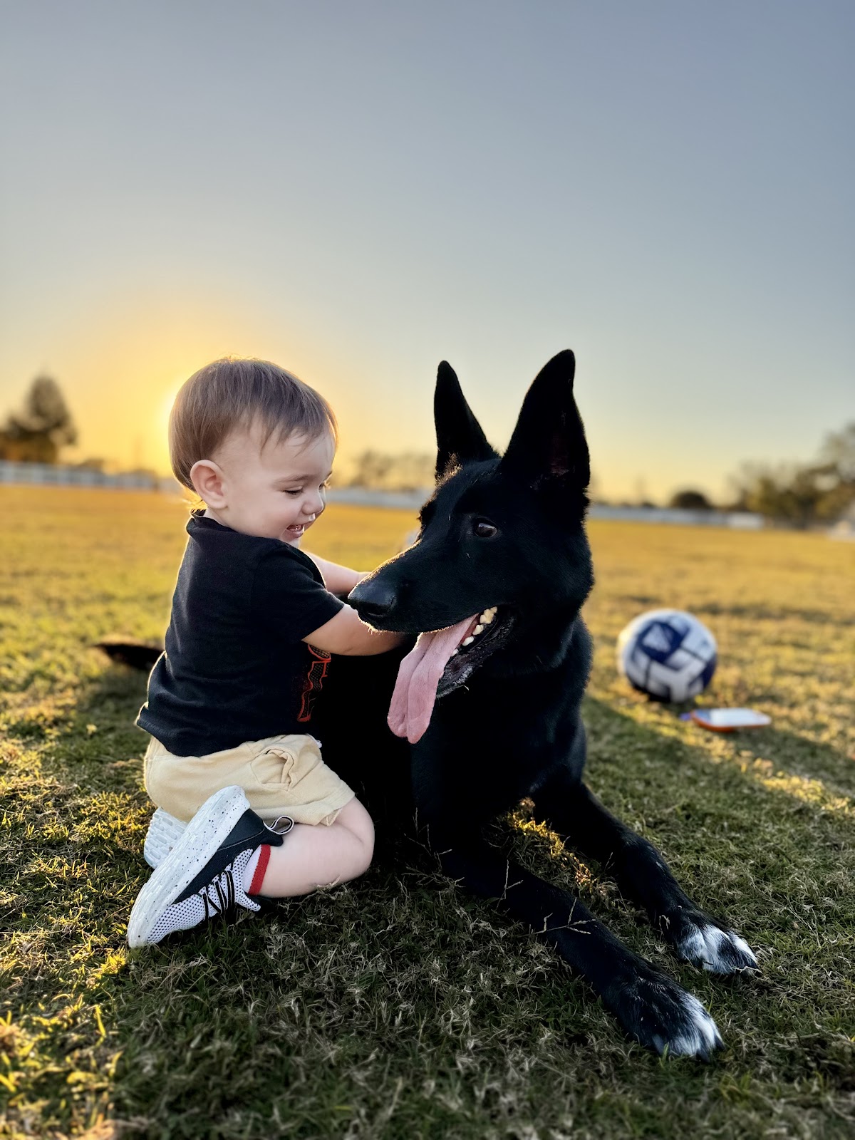 Arthur's son with Korra, our fully trained service dog.
