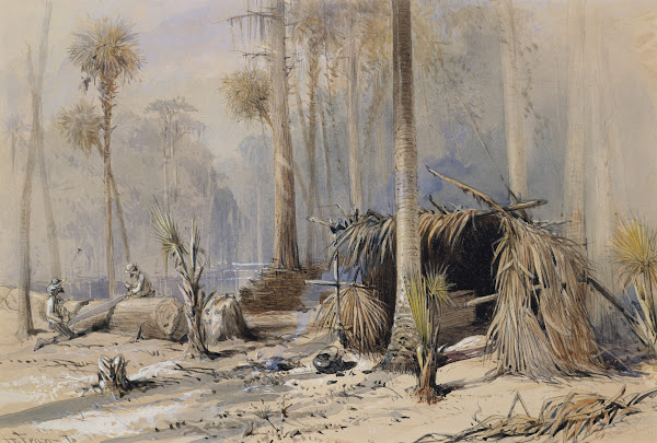 The Cypress Shingle Yard Ocklawaha River Florida 1870