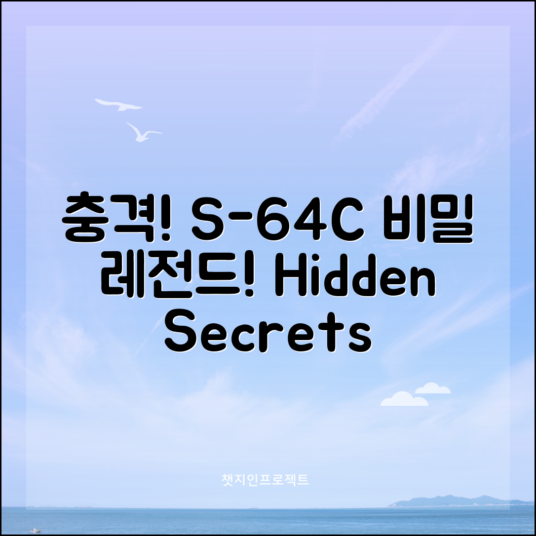 충격적인 S-64C의 숨겨진 비밀!