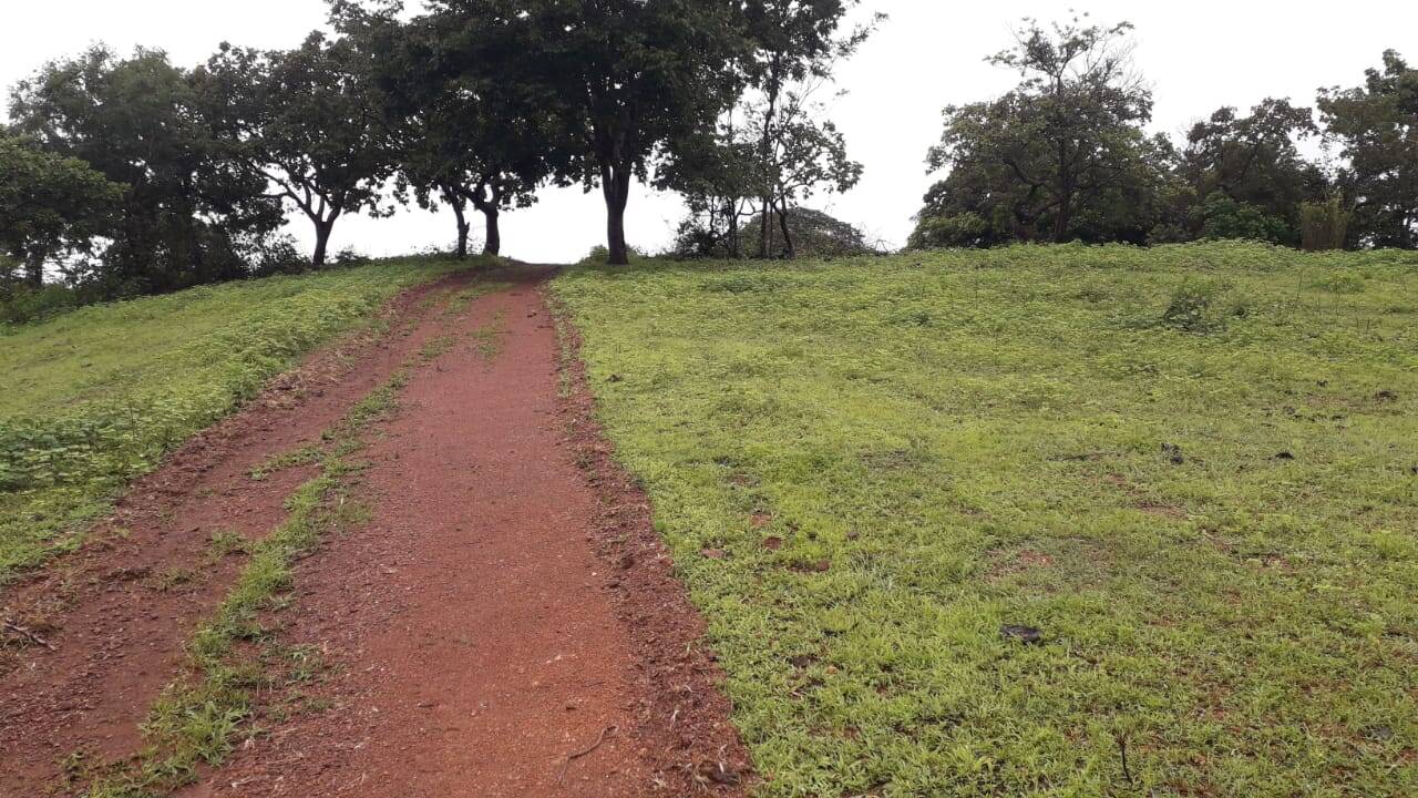 Fazenda em Padre Bernardo - GO 4