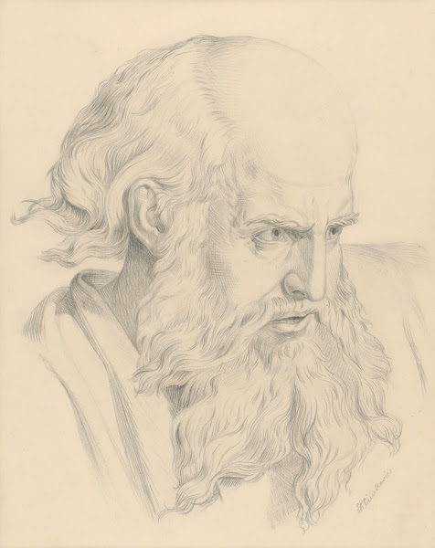 The head of an old man