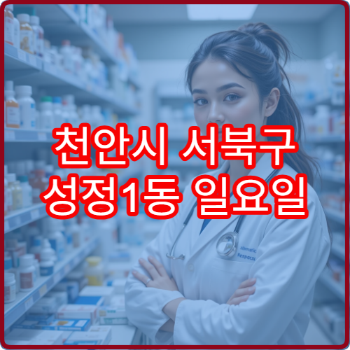 천안시 서북구 성정1동 일요일 영업 당번 약국 위치 정리
