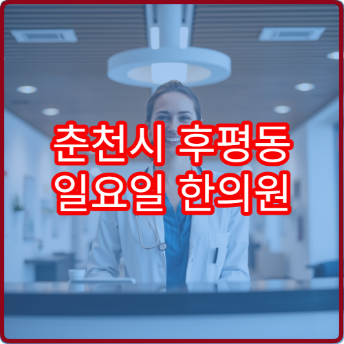 춘천시 후평동 일요일 한의원 진료 가능한 곳