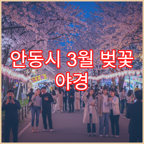안동시 3월 벚꽃 야경 저녁 8시 이후 로맨틱 포인트