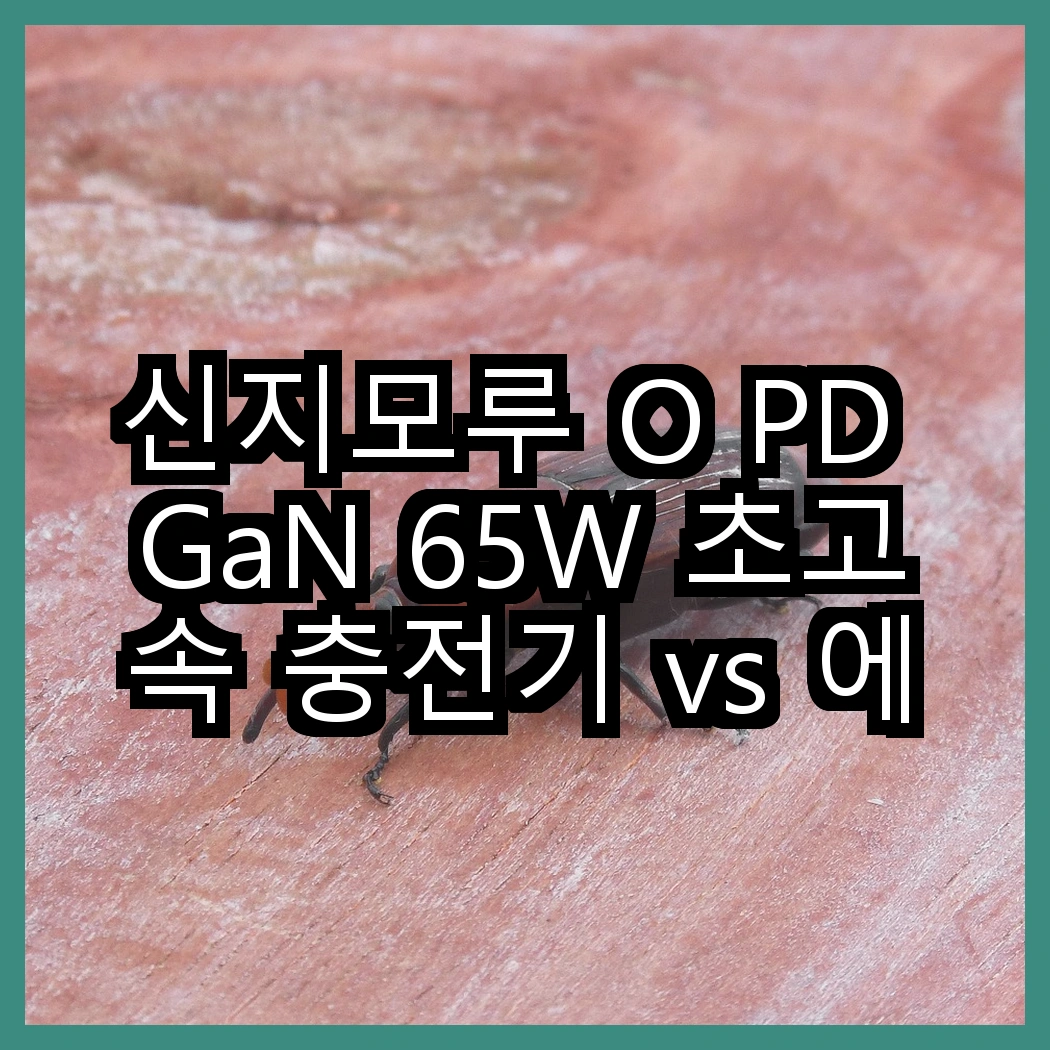 신지모루 O PD GaN 65W 초고속 충전기 vs 에이치디탑 USB 1포트 충전기, 어떤 선택이 더 스마트할까? 썸네일