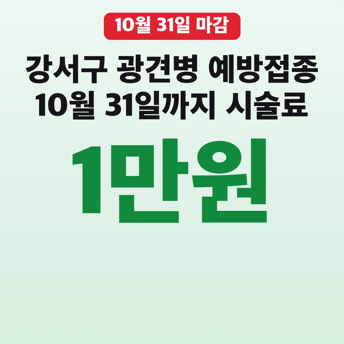 강서구 광견병 예방접종 10월 31일까지 시술료 1만원