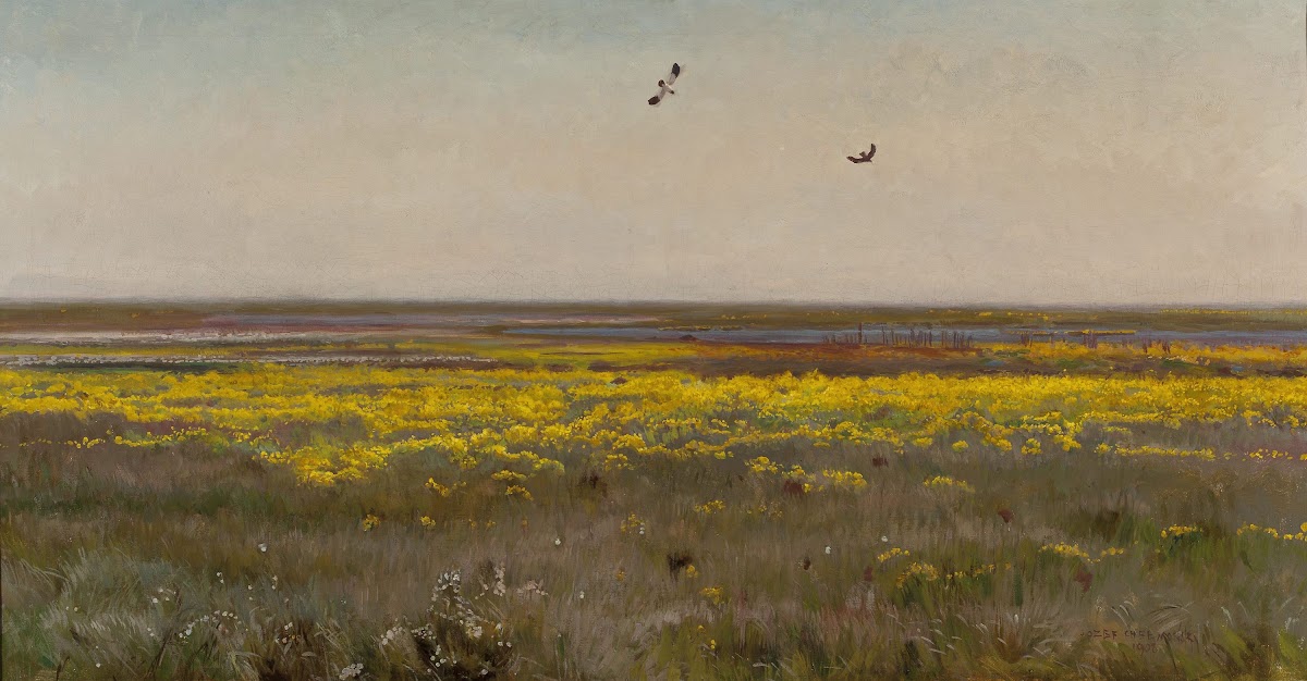 Cowslips 1908
