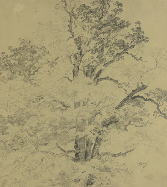 Prater 1880