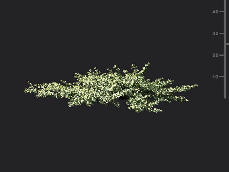 Maxtree - Plant Models Vol.119