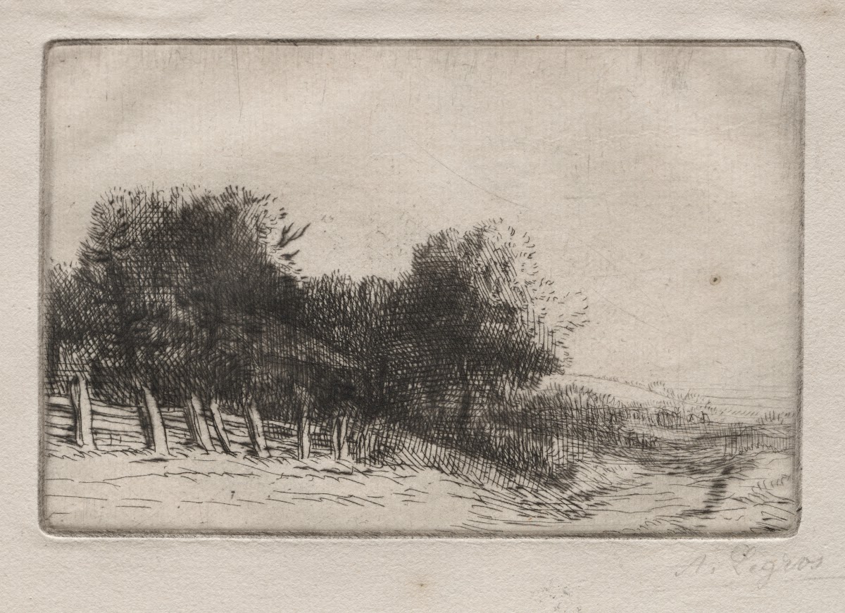 Landscape 8 c 18571911