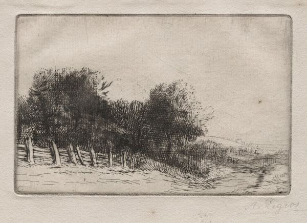 Landscape 8 c 18571911
