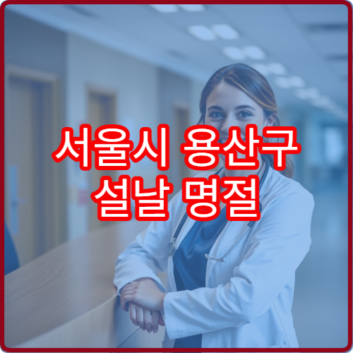 서울시 용산구 설날 명절 이비인후과 연휴 진료 병원 코감기·목 통증 상담 가능