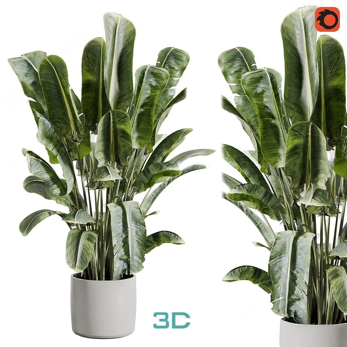978.Sell Album Indoor Plant PRO Vol 01