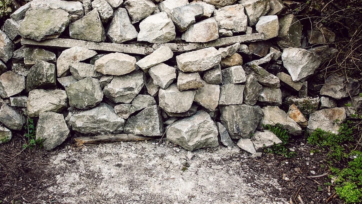 비판적 사고를 방해하는 인지 편향과 논리 오류 사례