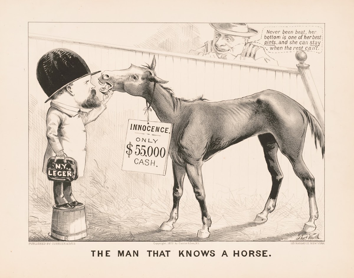 The man that knows a horse 1877