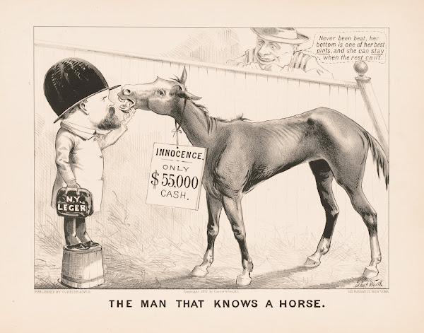 The man that knows a horse 1877