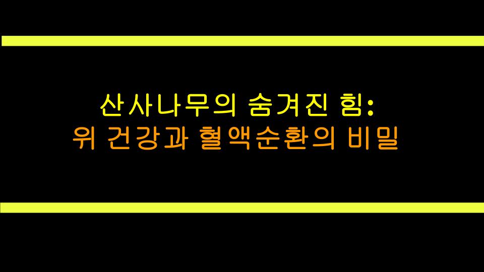 산사나무의 숨겨진 힘: 위 건강과 혈액순환의 비밀